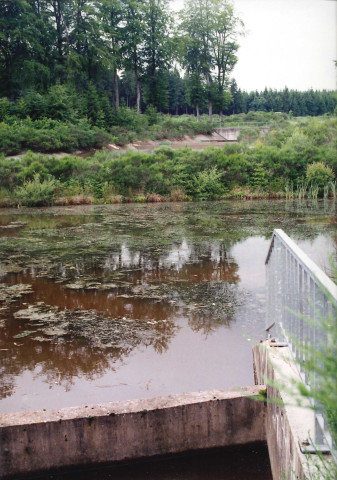 Houffalize. Tailles. Etat des lieux du bassin d'orage de Cedrogne.