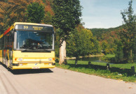 Durbuy, l'Ourthe et en ville.