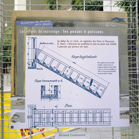 Liège. Angleur. Belle-Ile. Exposition sur le retour du saumon en Meuse.