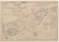 Plan des concessions d'Amercoeur et Nayabois Situés sous les territoires de Jumet et Roux.