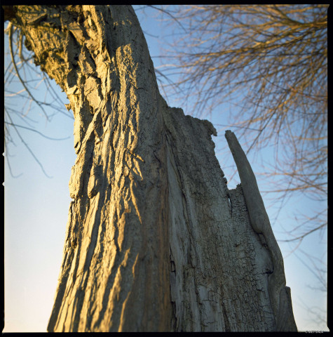 Eghezée. Décoration de la Hesbaye namuroise.