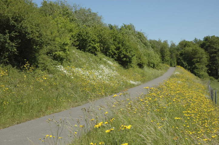 Chimay et Froidchapelle. Ancienne ligne SNCB 109. RAVeL.