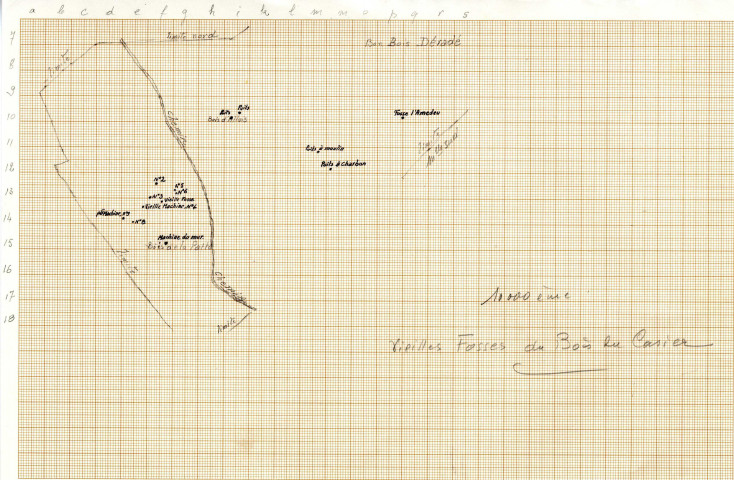 Vieilles fosses du Bois du Casier.