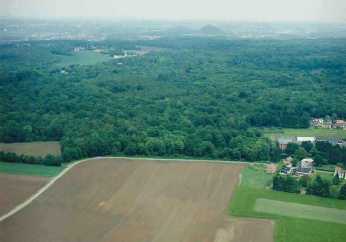 Ham-sur-Heure-Nalinnes. Bois de Warchissaux.