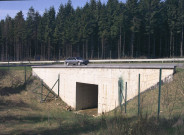 Saint-Hubert. Passage pour gibier sous la RN89.