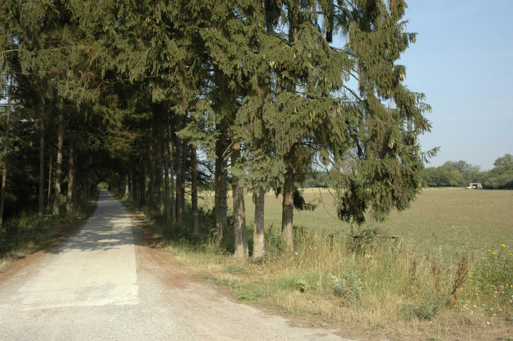 Mariembourg - Matagne-la-Grande. Ancienne ligne SNCB 156.