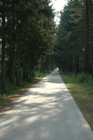 Mariembourg - Matagne-la-Grande. Ancienne ligne SNCB 156.