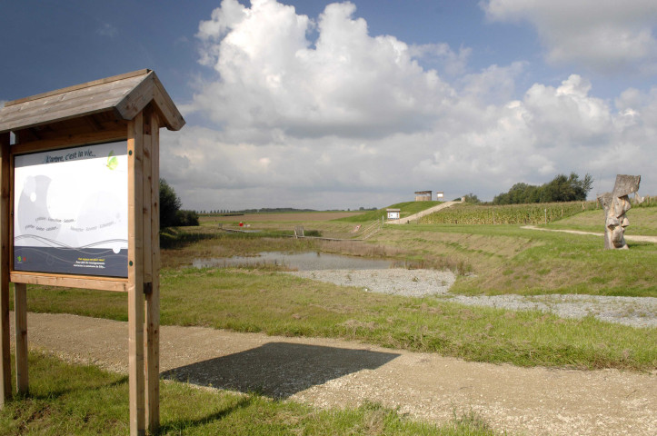 Silly. Zones inondables. Visite des zones d'immersions temporaires (Zits).