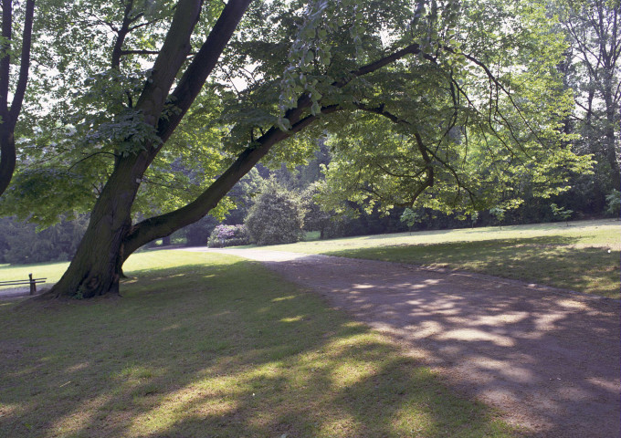 Morlanwelz. Parc de Mariemont.