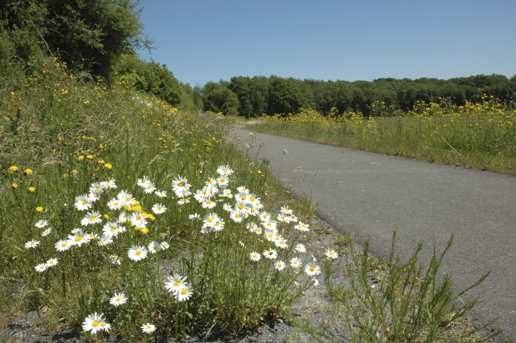 Chimay et Froidchapelle. Ancienne ligne SNCB 109. RAVeL.