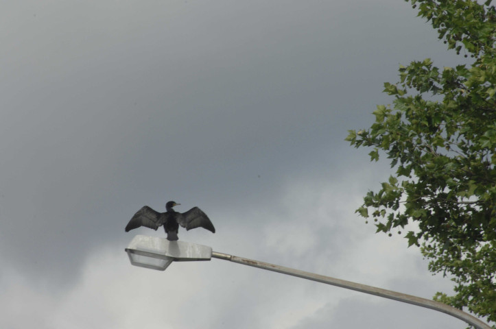 Saint-Ghislain. Tertre. Ravel 1.