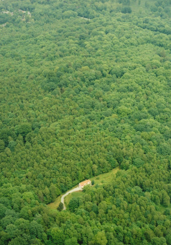 Ham-sur-Heure-Nalinnes. Bois de Warchissaux.