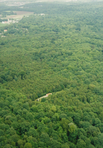 Ham-sur-Heure-Nalinnes. Bois de Warchissaux.
