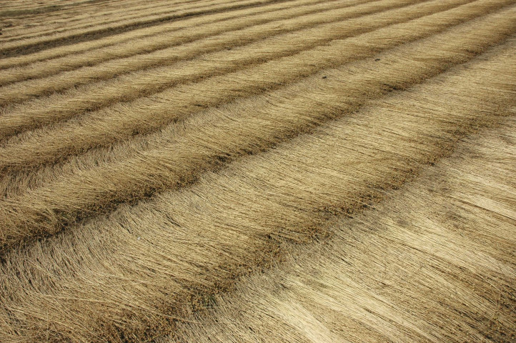 Ramillies - Jodoigne. Ancienne ligne SNCB 142.