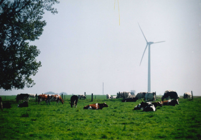 Perwez. Eolienne de 600 kW/h.