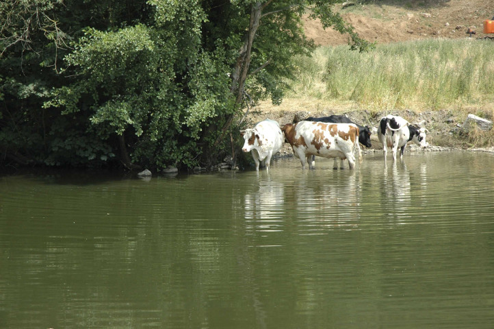 De Landelies à Viesville.