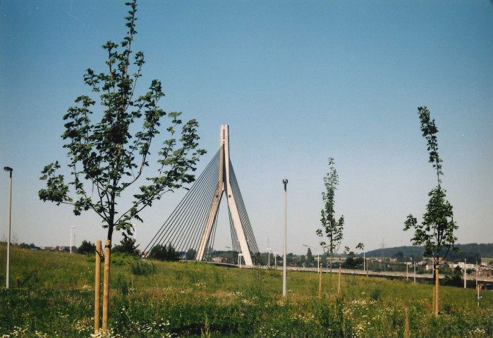 Huy. Ben-Ahin. Aménagements de plantations et d'arbres.