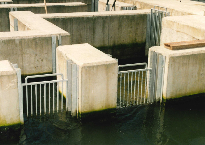 Visé. Lixhe. Inauguration de l'échelle à poissons adaptée aux grandes espèces migratoires.