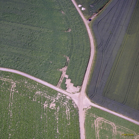 Waremme. Plaine hesbignonne. Chemin de remembrement agricole. Champs.