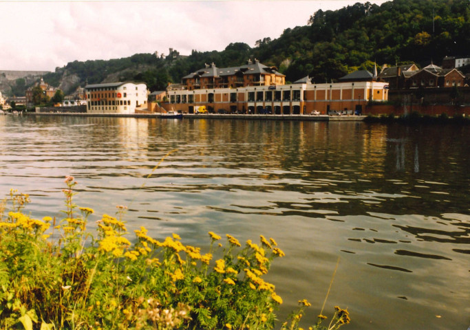 Dinant.
