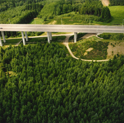 Stavelot. Viaduc de l'Eau Rouge.