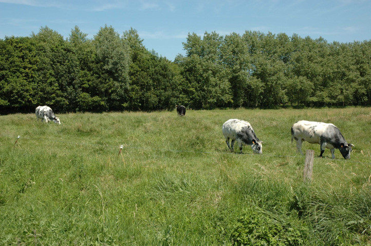 Bouvignies - Lessines