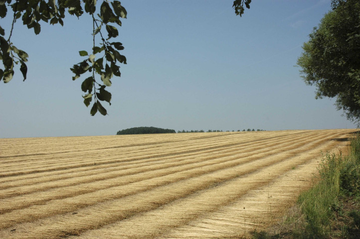 Ramillies - Jodoigne. Ancienne ligne SNCB 142.