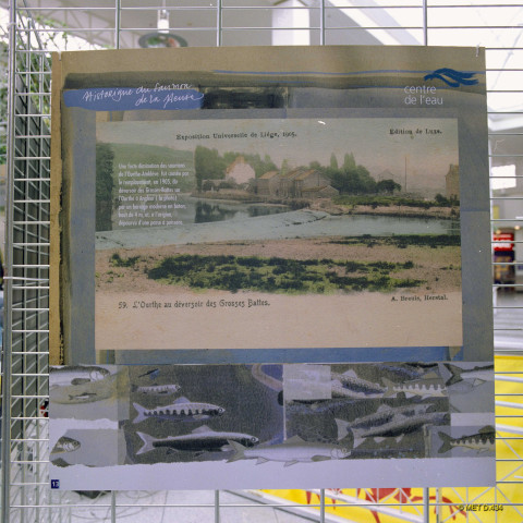 Liège. Angleur. Belle-Ile. Exposition sur le retour du saumon en Meuse.