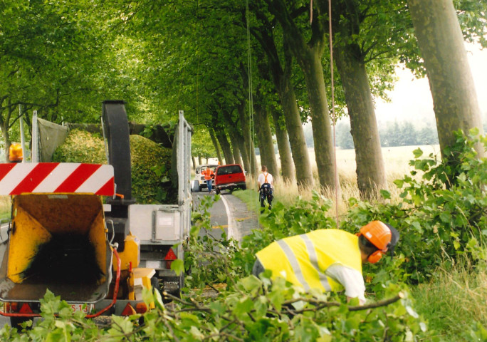 Lessine. Elagage d'arbres sur la RN 57.