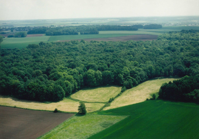 Ham-sur-Heure-Nalinnes. Bois de Baconval.