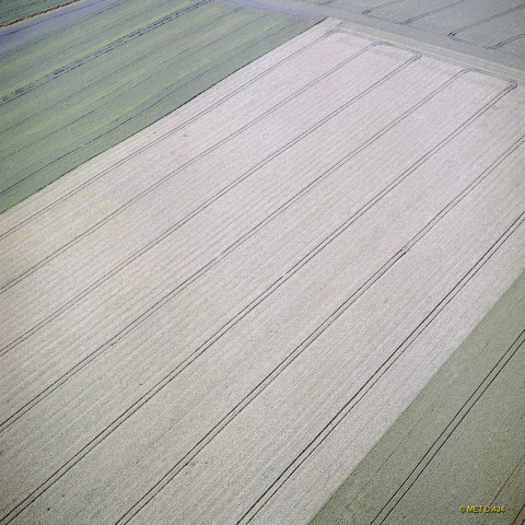 Waremme. Plaine hesbignonne. Chemin de remembrement agricole. Champs.