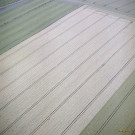 Waremme. Plaine hesbignonne. Chemin de remembrement agricole. Champs.