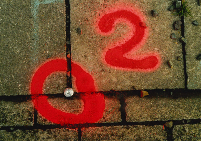 Profondeville. Arbre. Topographie.