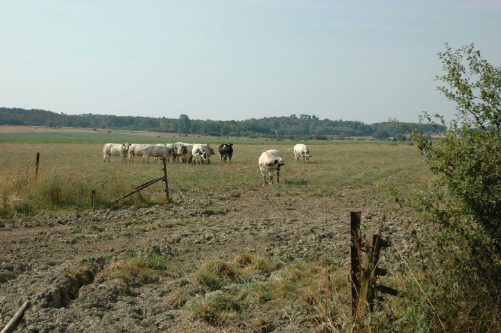 Matagne-la-Grande - Doische. Ancienne ligne SNCB 156.