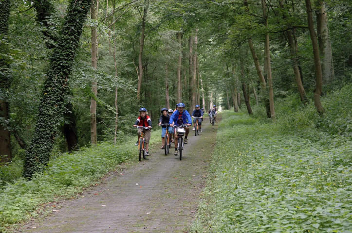 Bernissart. Pommeroeul. Vues sur le passage du Ravel 1.