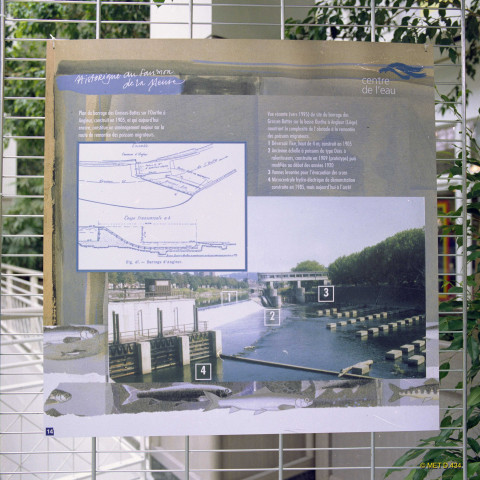 Liège. Angleur. Belle-Ile. Exposition sur le retour du saumon en Meuse.