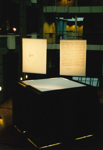 Namur. CAMET. Bibliothèque. Œuvres artistiques.