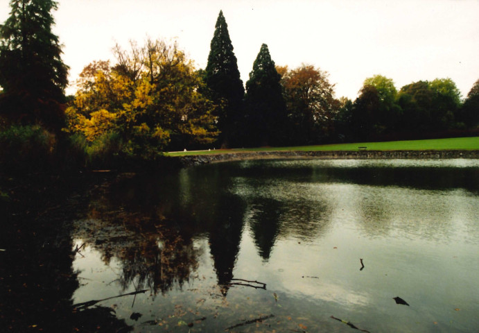 La Hulpe. Parc Solvay. Restauration des berges de l'étang de la longue queue.