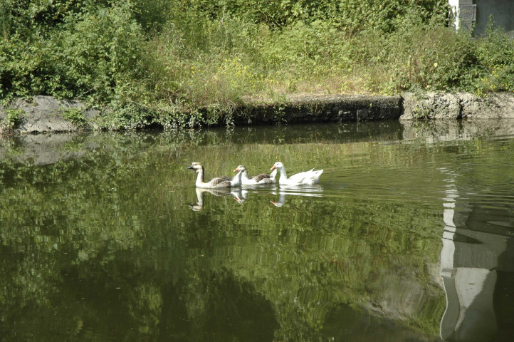 De Labuissière à Lobbes.