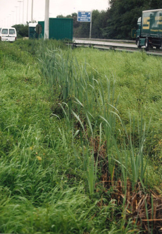 Saint-Georges-sur-Meuse. E42. Travaux.