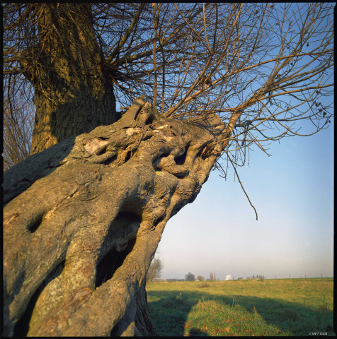Eghezée. Décoration de la Hesbaye namuroise.