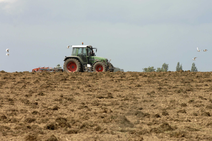 Waremme. Tracteur dans un champ.