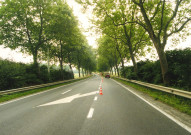 Lessine. Elagage d'arbres sur la RN 57.