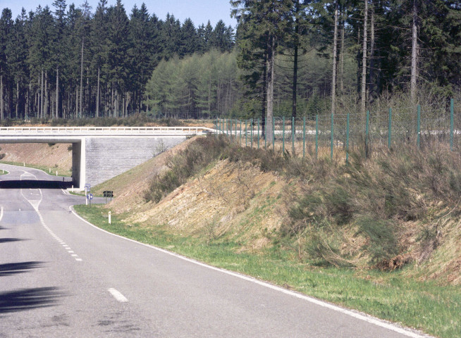 Champlon. Passage pour gibier de type canadien.