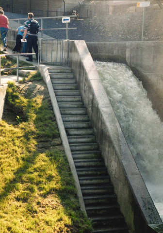 Visé. Lixhe. Barrage-écluse et échelle à poissons lors de la journée du patrimoine.