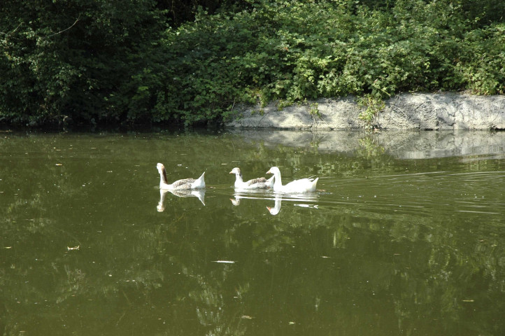 De Labuissière à Lobbes.