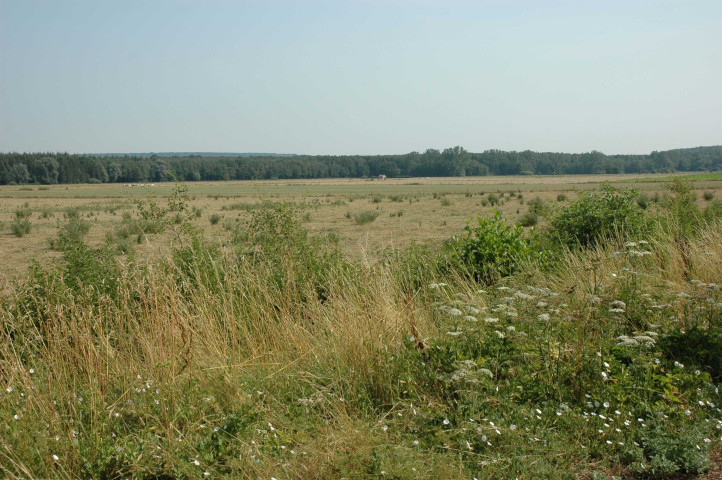 Matagne-la-Grande - Doische. Ancienne ligne SNCB 156.