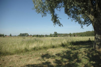 Saint-Aybert (France) - Pommeroeul