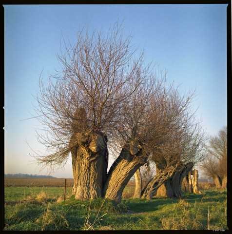Eghezée. Décoration de la Hesbaye namuroise.