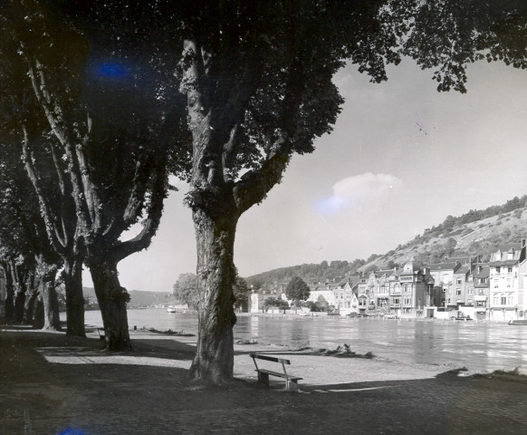 Vues de Dinant